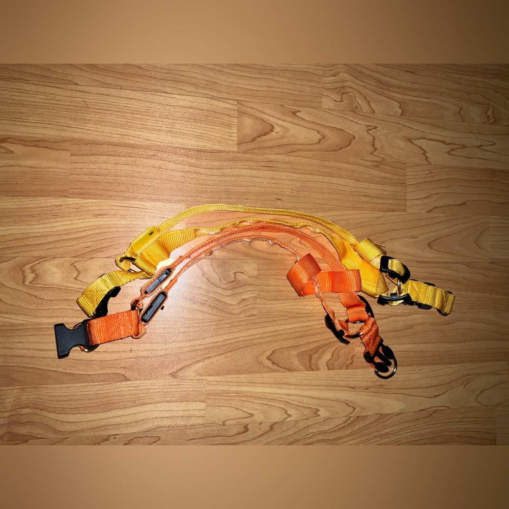 Rechargeable LED Light-Up Dog Harnesses
